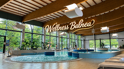 Terme Dolenjske Spa — fotografia 3