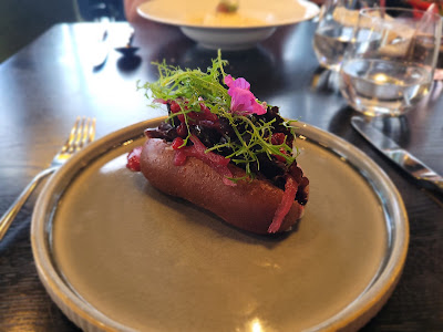 Paleo Arctic — fotografia 5