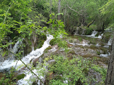 PNSC-S06 Ruta de la Cascada del Molino de la Chorrera — fotografia 5