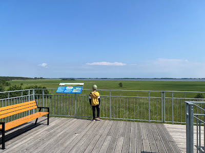 Punkt widokowy — fotografia 4
