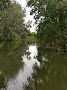 Szigetcsépi Strand — fotografia 5