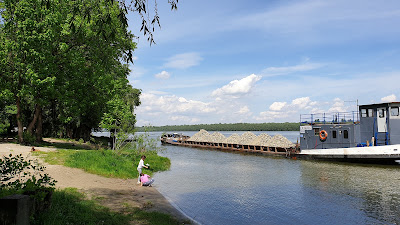 Čortanovačka obala