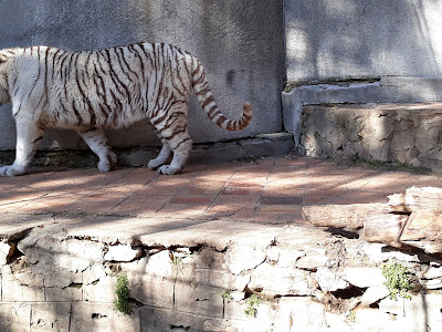Stara Zagora Zoo