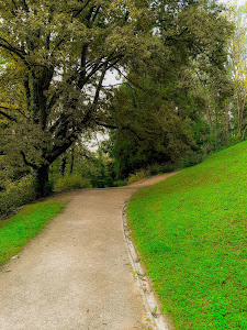 Forest Park Jelenovac — fotografia 4