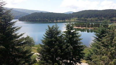Lago Arvo — fotografia 5