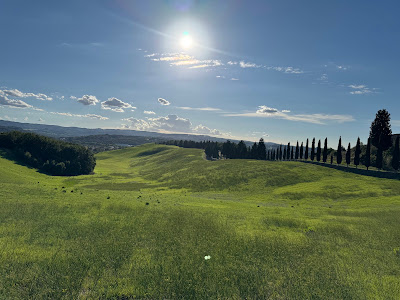 Canonica hill Park — fotografia 3