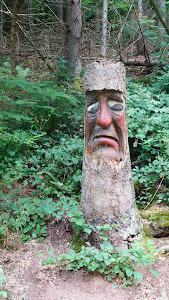 Waldgeisterweg — fotografia 3