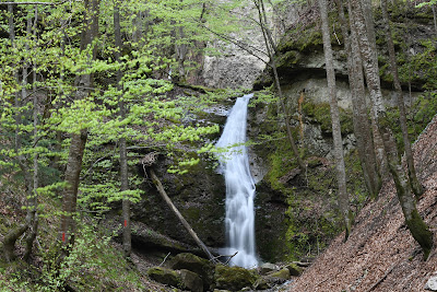 Cascada Vâlsan