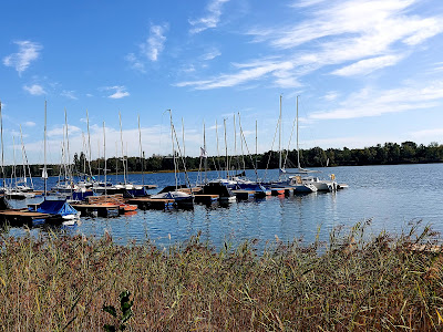 Camping Tankumsee — fotografia 4