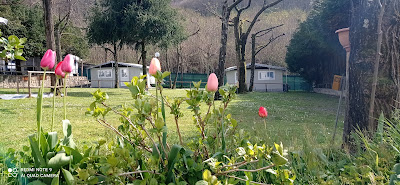 Camping Bracchetto Vetta — fotografia 5