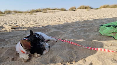Playa de Mata Negra — fotografia 5