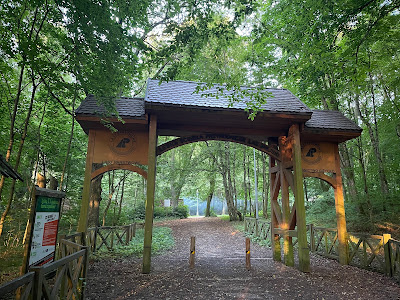 City Forest Giżycko — fotografia 5