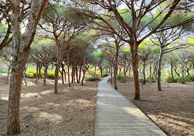 Pinar De La Almadraba — fotografia 3
