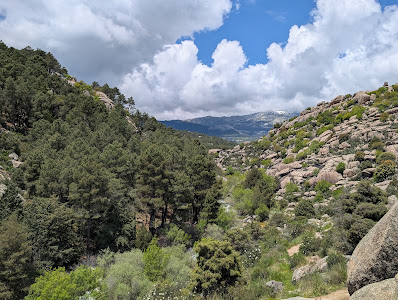 Cuenca Alta del Manzanares Regional Park — fotografia 3