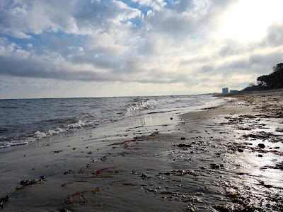 Diedrichshagen Strand — fotografia 5