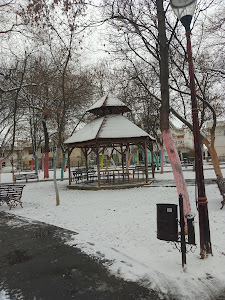 Parcul Pușkin - Crizantemelor — fotografia 4