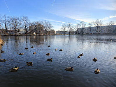 Rybník Prostějov
