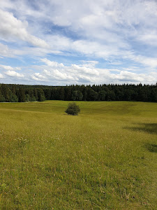 Roßfels Aussichtspunkt — fotografia 4