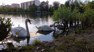 Rybník Prostějov — fotografia 3