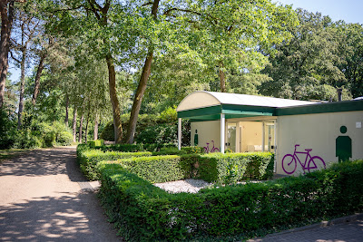 Camping Zuid Ginkel — fotografia 3
