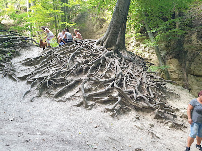 Rám-szakadék — fotografia 5