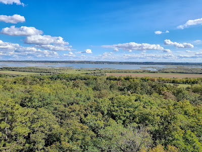 Pákozdi Pagony Arborétum és Vadaspark kilátó. — fotografia 3