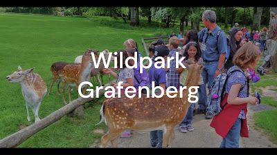 Wildpark Düsseldorf Grafenberg — fotografia 2