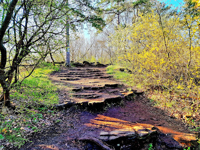 Őrtorony-kilátó — fotografia 5