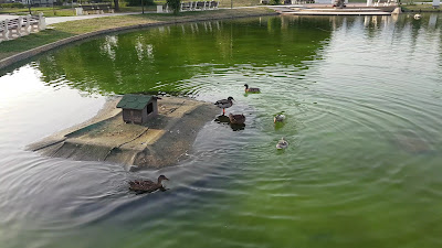 City Park by the river Iskar — fotografia 2