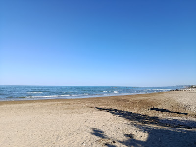 Spiaggia di Punta Sabbioni — fotografia 5