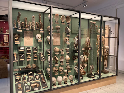 Medicinsk Museion — fotografia 3