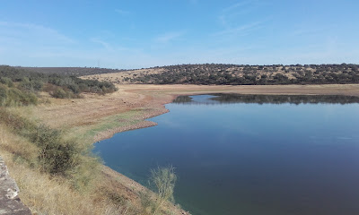 Parque Natural de Cornalvo — fotografia 4