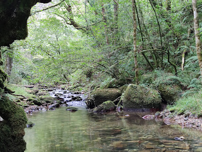 Pesanca recreation area, Piloña, Asturias — fotografia 4