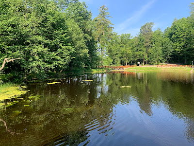 City Forest Giżycko — fotografia 3