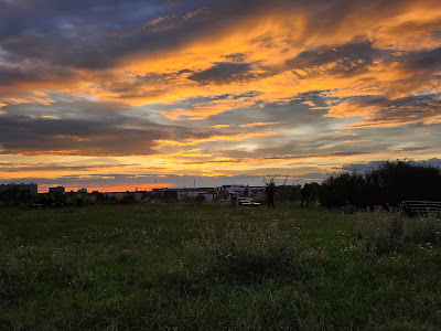 Wzgórze Gajowickie, Górka PaFaWag — fotografia 3