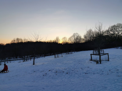 Umweltkultur Park — fotografia 4