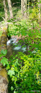 Cascada Modăvița — fotografia 5