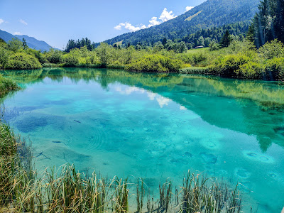 Zelenci