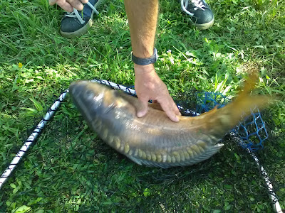 Pesca Sportiva Laghetto ulivi Di Fontana Gabriele — fotografia 3