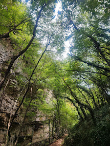 Cascate del Tuorno — fotografia 3