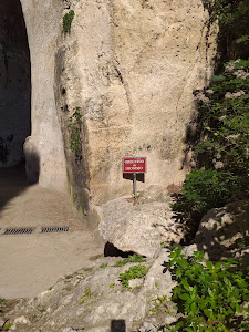 Ear of Dionysius — fotografia 4
