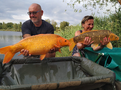 Koi Fish pond
