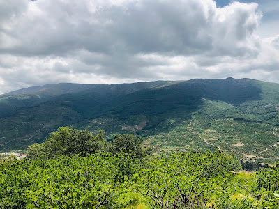 Ruta de las Nogaleas o Nogaledas — fotografia 5