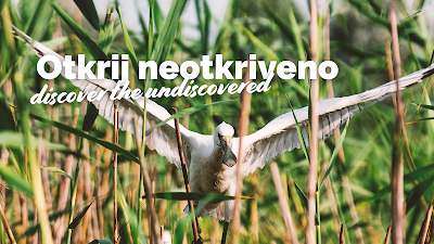 Park prirode Lonjsko polje