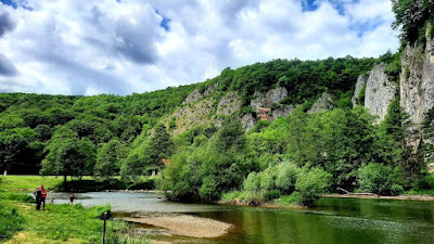 Camping Șuncuiuș — fotografia 3