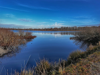 Nationaal Park De Groote Peel — fotografia 3