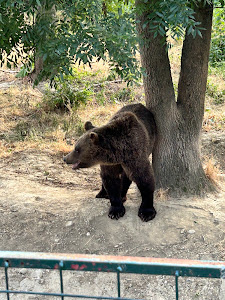 Grădina Zoologică Bucov (Ploiești) — fotografia 5