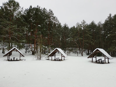 Glade recreation - Comfort — fotografia 5