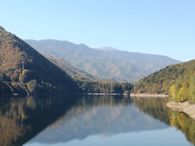Brădișor