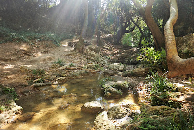 Kalamaris Waterfall — fotografia 4